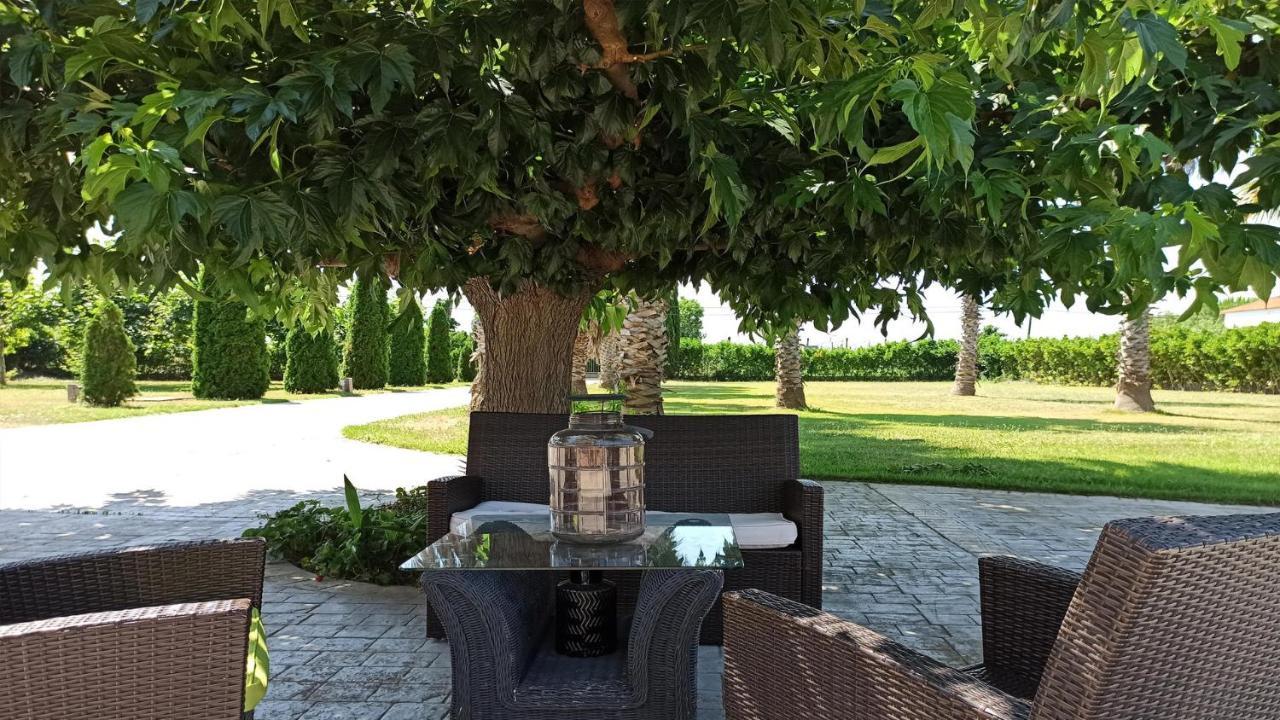 Villa Palmeras Sant Pere Pescador Eksteriør billede