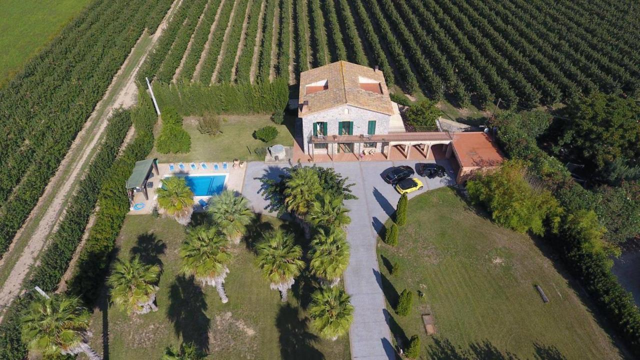 Villa Palmeras Sant Pere Pescador Eksteriør billede